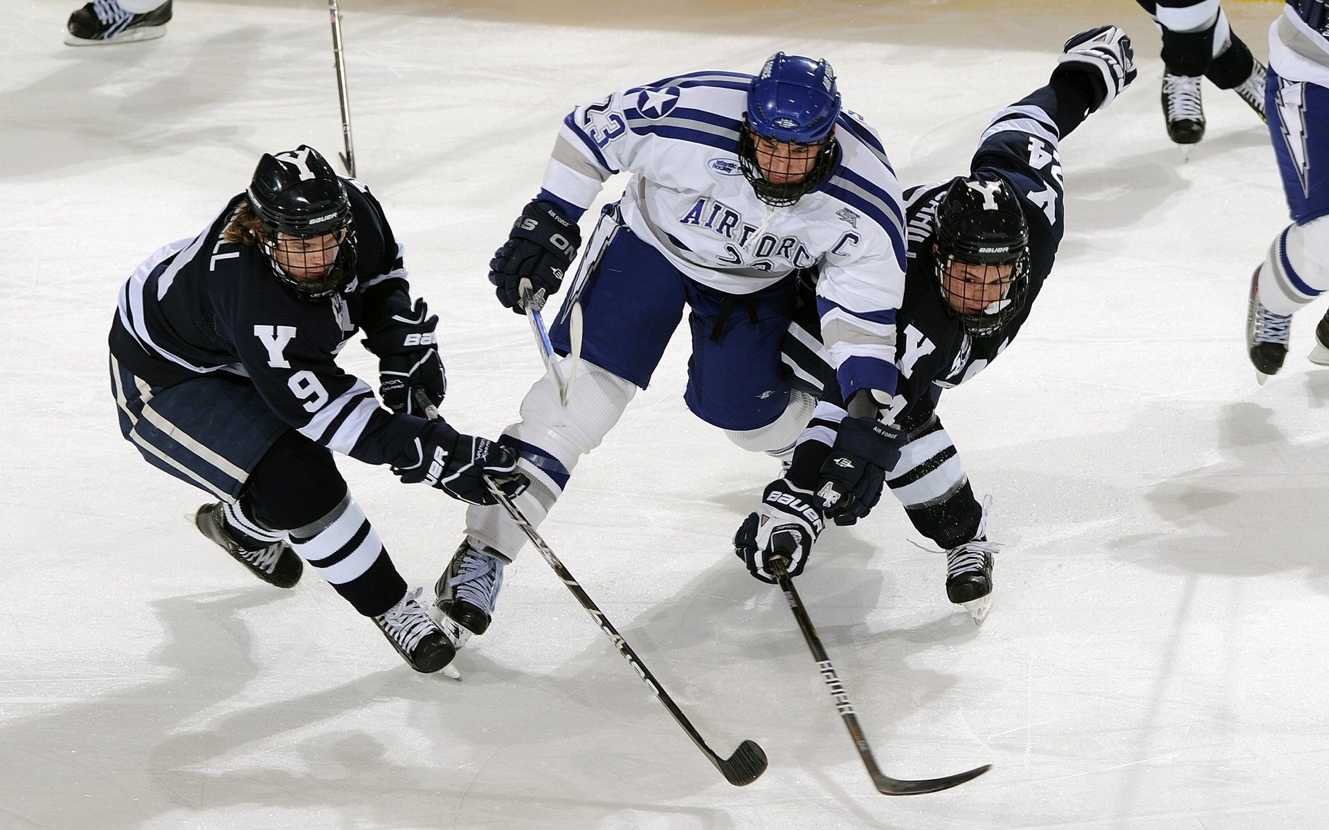 _世界风筝节:运动与艺术的融合体验_,世界风筝锦标赛